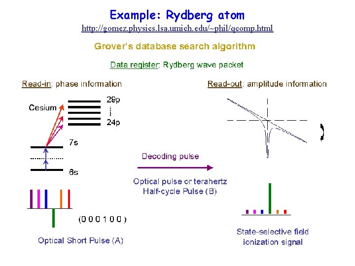 Example: Rydberg atom http: //gomez. physics. lsa. umich. edu/~phil/qcomp. html 