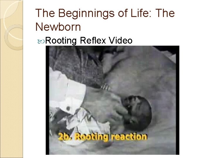 The Beginnings of Life: The Newborn Rooting Reflex Video 