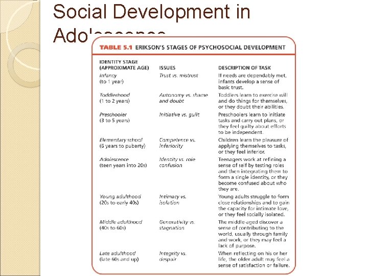 Social Development in Adolescence 