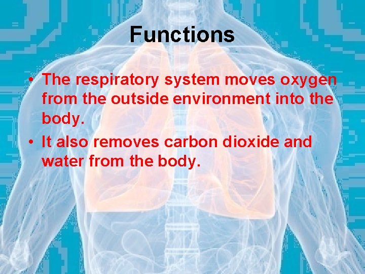 Functions • The respiratory system moves oxygen from the outside environment into the body.