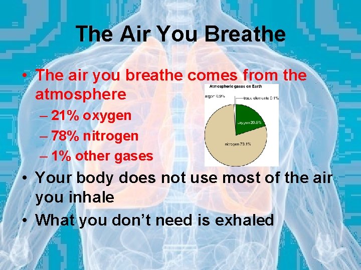 The Air You Breathe • The air you breathe comes from the atmosphere –