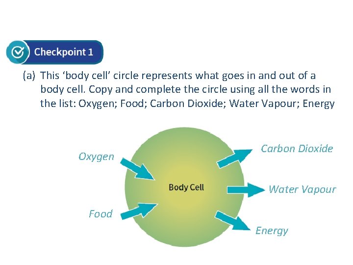 (a) This ‘body cell’ circle represents what goes in and out of a body