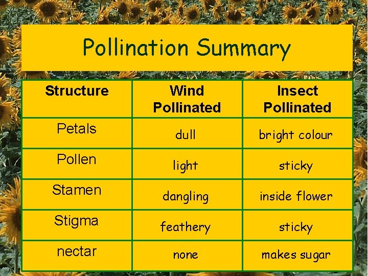 Pollination Summary Structure Wind Pollinated Insect Pollinated Petals dull bright colour Pollen light sticky
