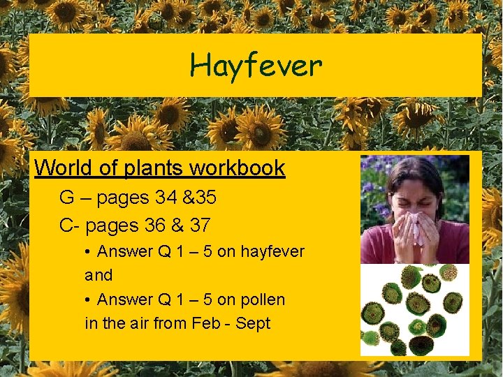Hayfever World of plants workbook G – pages 34 &35 C- pages 36 &