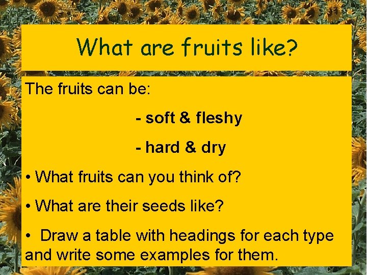 What are fruits like? The fruits can be: - soft & fleshy - hard