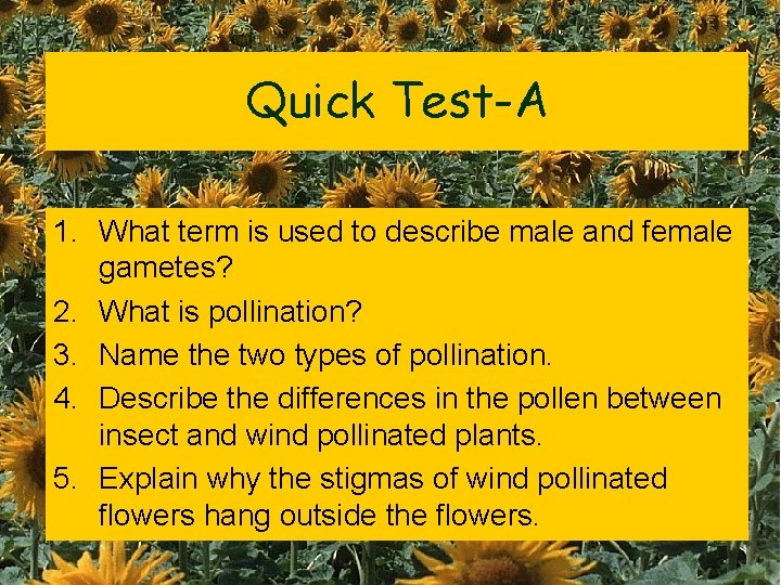 Quick Test-A 1. What term is used to describe male and female gametes? 2.