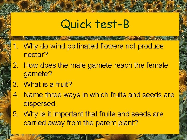Quick test-B 1. Why do wind pollinated flowers not produce nectar? 2. How does