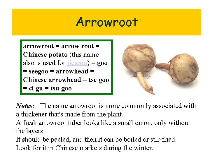 Arrowroot arrowroot = arrow root = Chinese potato (this name also is used for