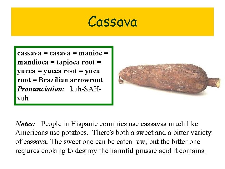Cassava cassava = casava = manioc = mandioca = tapioca root = yucca root