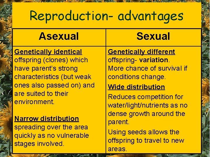 Reproduction- advantages Asexual Genetically identical offspring (clones) which have parent’s strong characteristics (but weak