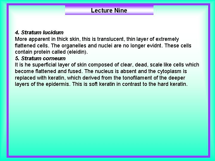 Lecture Nine 4. Stratum lucidum More apparent in thick skin, this is translucent, thin