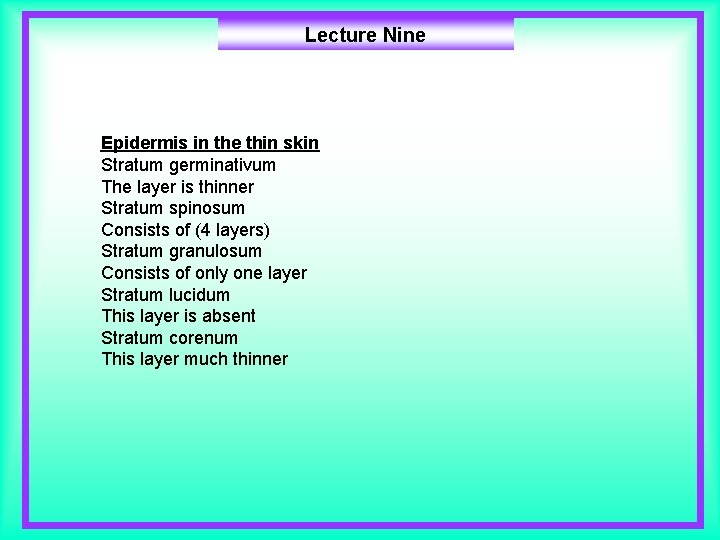 Lecture Nine Epidermis in the thin skin Stratum germinativum The layer is thinner Stratum