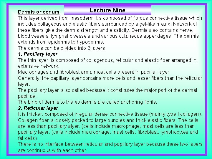 Lecture Nine Dermis or corium This layer derived from mesoderm it s composed of