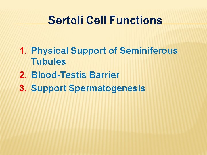 Sertoli Cell Functions 1. Physical Support of Seminiferous Tubules 2. Blood-Testis Barrier 3. Support