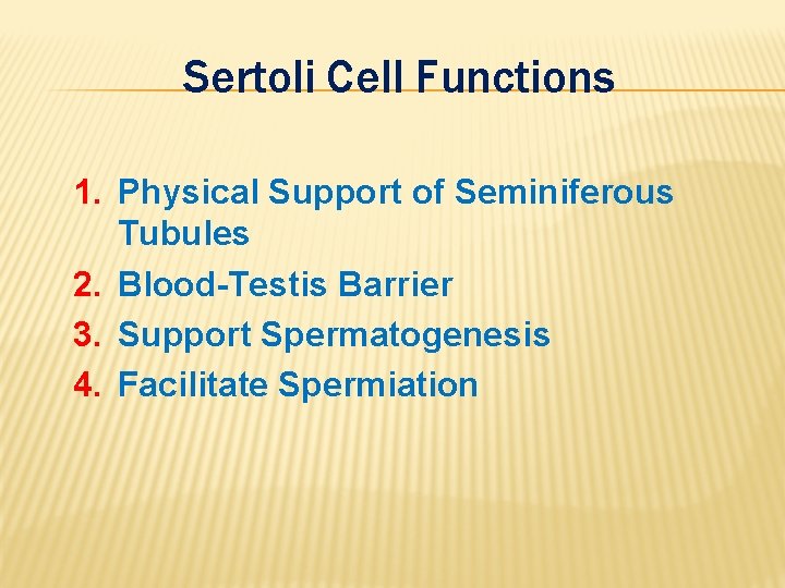 Sertoli Cell Functions 1. Physical Support of Seminiferous Tubules 2. Blood-Testis Barrier 3. Support