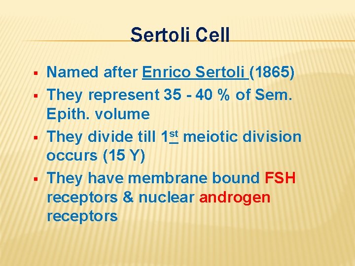 Sertoli Cell § § Named after Enrico Sertoli (1865) They represent 35 - 40