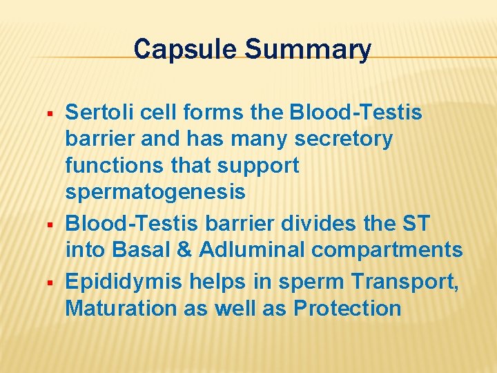 Capsule Summary § § § Sertoli cell forms the Blood-Testis barrier and has many
