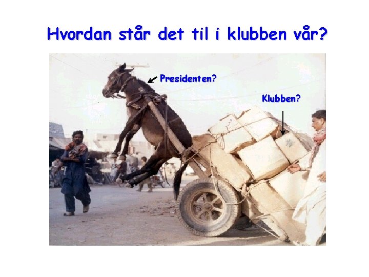Hvordan står det til i klubben vår? Presidenten? Klubben? 