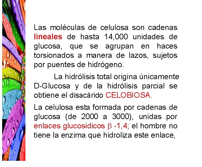 Las moléculas de celulosa son cadenas lineales de hasta 14, 000 unidades de glucosa,