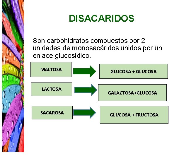 DISACARIDOS Son carbohidratos compuestos por 2 unidades de monosacáridos unidos por un enlace glucosídico.
