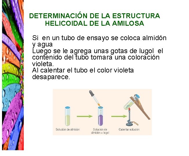 DETERMINACIÓN DE LA ESTRUCTURA HELICOIDAL DE LA AMILOSA Si en un tubo de ensayo
