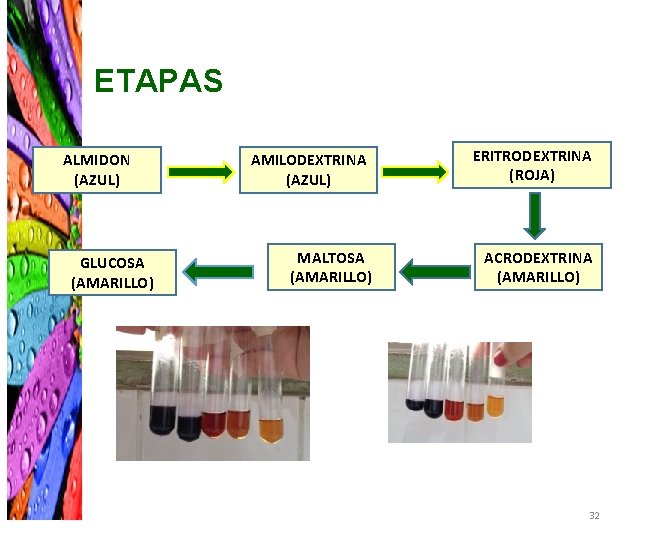 ETAPAS ALMIDON (AZUL) GLUCOSA (AMARILLO) AMILODEXTRINA (AZUL) MALTOSA (AMARILLO) ERITRODEXTRINA (ROJA) ACRODEXTRINA (AMARILLO) 32