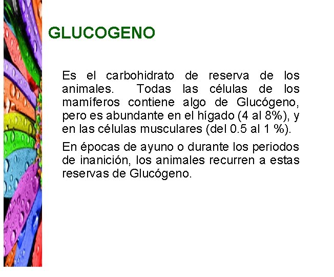 GLUCOGENO Es el carbohidrato de reserva de los animales. Todas las células de los