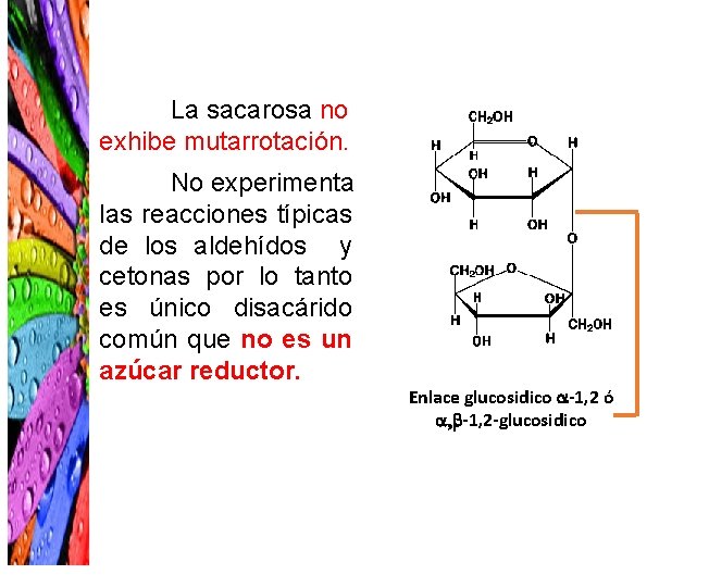 La sacarosa no exhibe mutarrotación. No experimenta las reacciones típicas de los aldehídos y