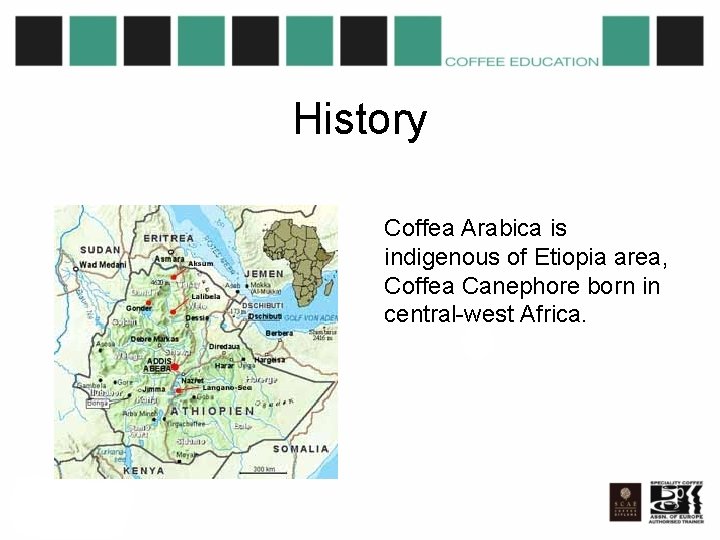 History Coffea Arabica is indigenous of Etiopia area, Coffea Canephore born in central-west Africa.