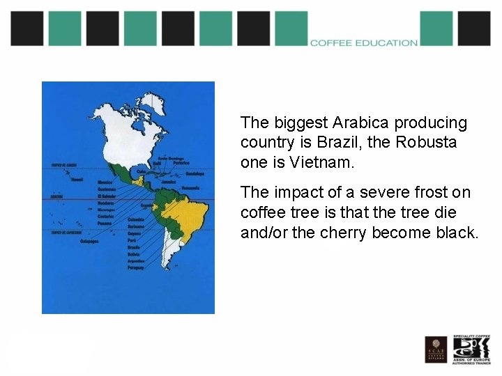 The biggest Arabica producing country is Brazil, the Robusta one is Vietnam. The impact