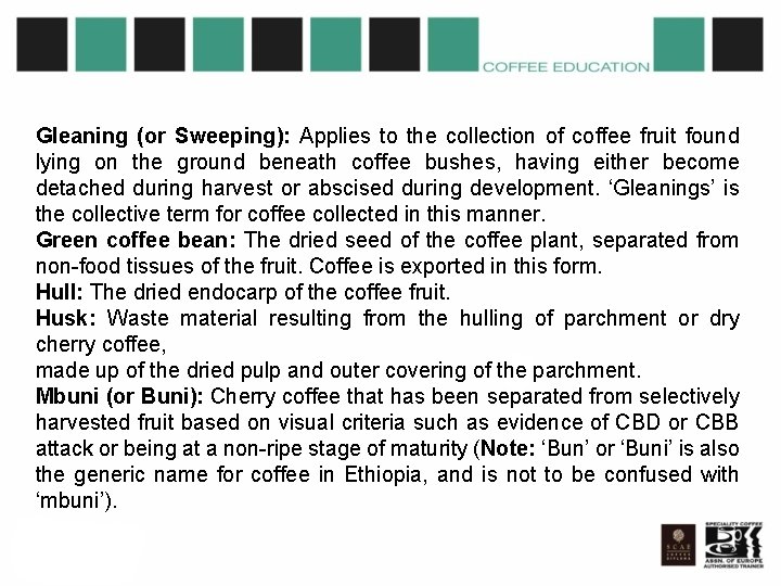 Gleaning (or Sweeping): Applies to the collection of coffee fruit found lying on the