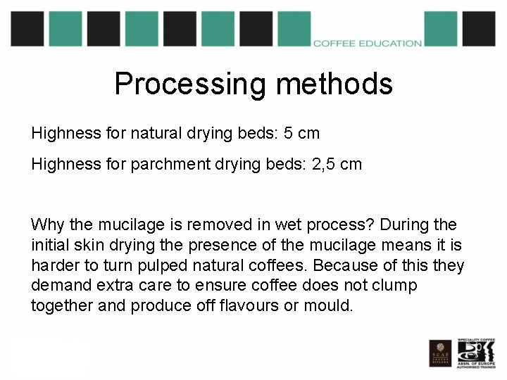 Processing methods Highness for natural drying beds: 5 cm Highness for parchment drying beds: