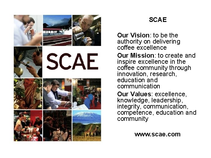 SCAE Our Vision: to be the authority on delivering coffee excellence Our Mission: to