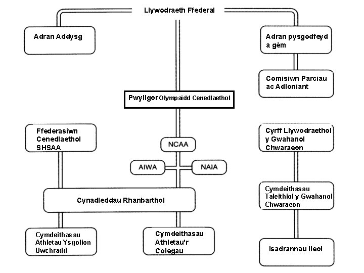 Llywodraeth Ffederal Adran Addysg Adran pysgodfeyd a gêm Comisiwn Parciau ac Adloniant Pwyllgor Olympaidd