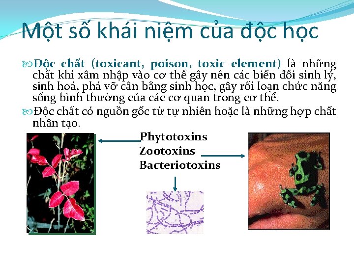 Một số khái niệm của độc học Độc chất (toxicant, poison, toxic element) là