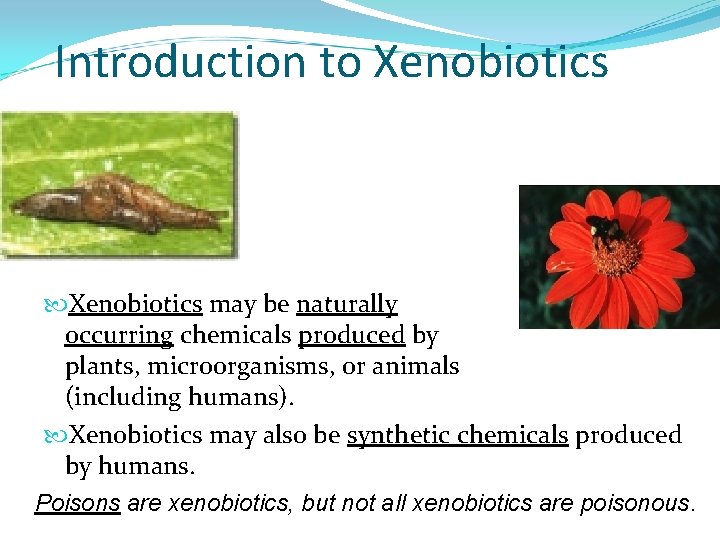 Introduction to Xenobiotics may be naturally occurring chemicals produced by plants, microorganisms, or animals