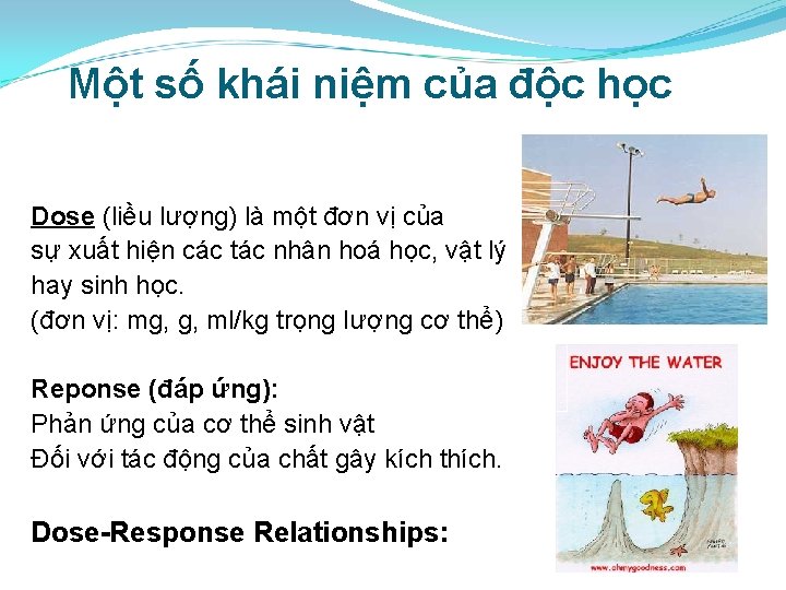 Một số khái niệm của độc học Dose (liều lượng) là một đơn vị