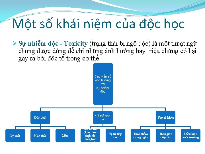 Một số khái niệm của độc học Ø Sự nhiễm độc - Toxicity (trạng