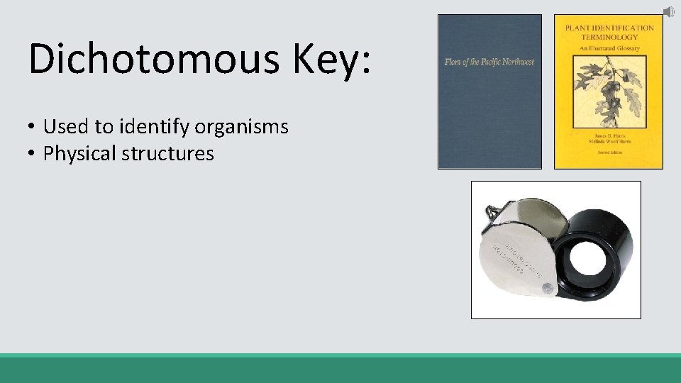 Dichotomous Key: • Used to identify organisms • Physical structures 