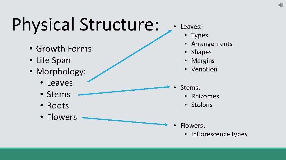 Physical Structure: • Growth Forms • Life Span • Morphology: • Leaves • Stems