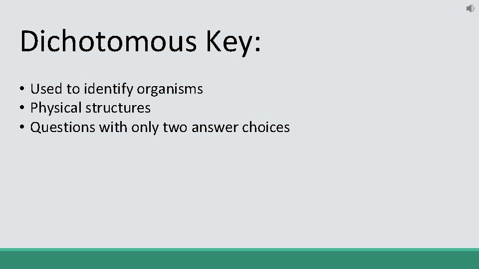 Dichotomous Key: • Used to identify organisms • Physical structures • Questions with only