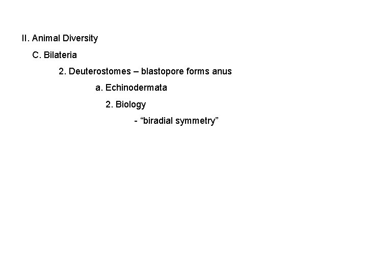 II. Animal Diversity C. Bilateria 2. Deuterostomes – blastopore forms anus a. Echinodermata 2.