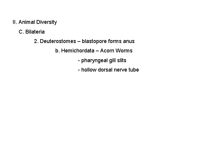 II. Animal Diversity C. Bilateria 2. Deuterostomes – blastopore forms anus b. Hemichordata –