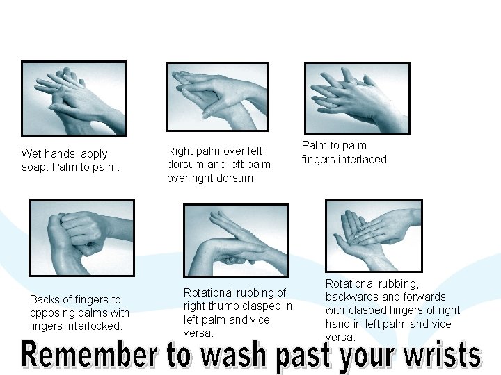 Wet hands, apply soap. Palm to palm. Backs of fingers to opposing palms with