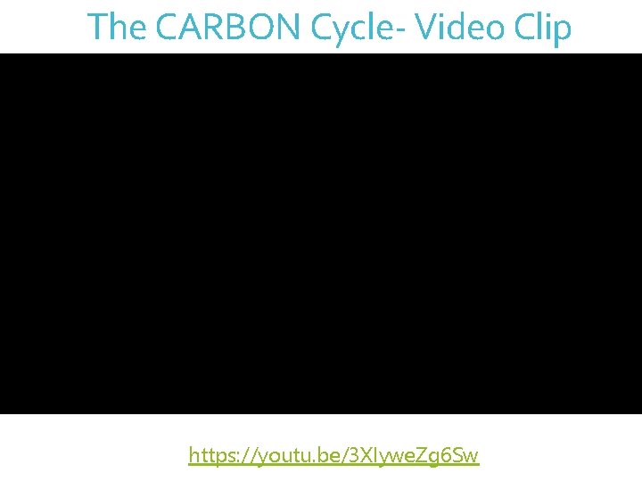 The CARBON Cycle- Video Clip https: //youtu. be/3 XIywe. Zg 6 Sw 