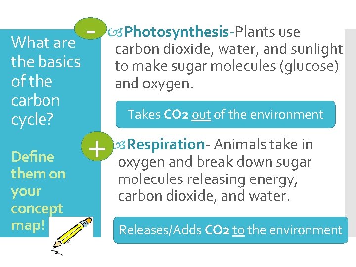  What are the basics of the carbon cycle? Define them on your concept