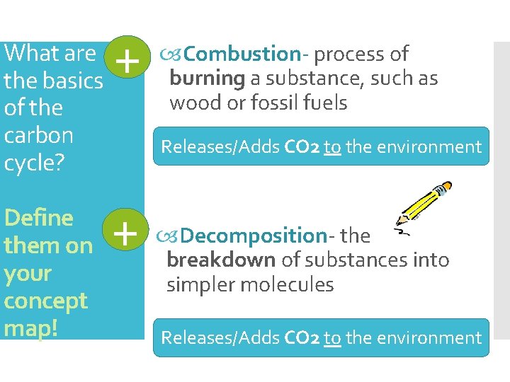 What are the basics of the carbon cycle? Define them on your concept map!