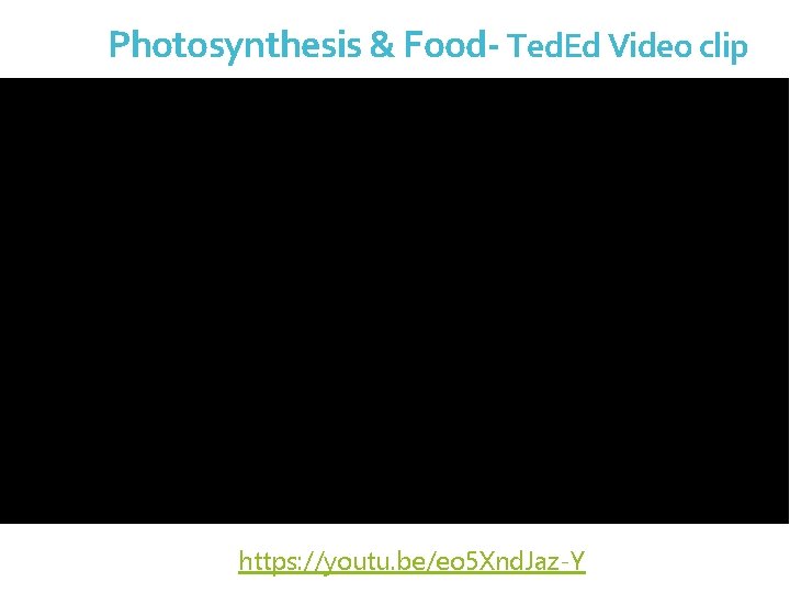 Photosynthesis & Food- Ted. Ed Video clip https: //youtu. be/eo 5 Xnd. Jaz-Y 