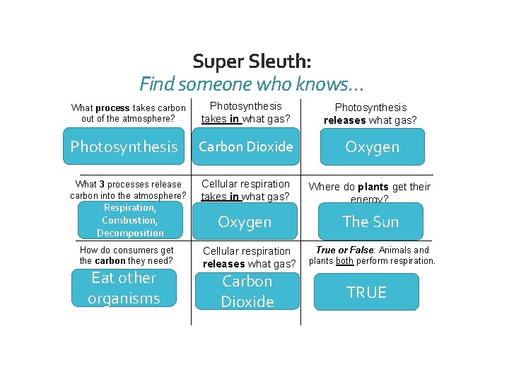 Super Sleuth: Find someone who knows… What process takes carbon out of the atmosphere?