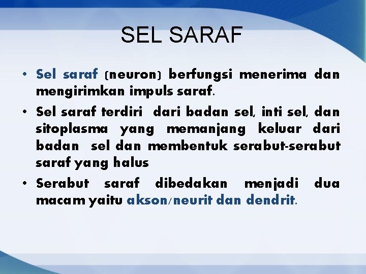 SEL SARAF • Sel saraf (neuron) berfungsi menerima dan mengirimkan impuls saraf. • Sel